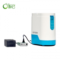 Easy Operation Medical Mini Portable Battery Operated Oxygen Concentrator Machine For Sales