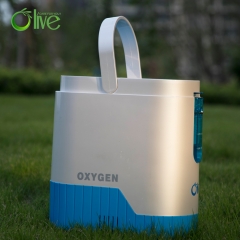 Export USA Oxygen Concentrator Medical Equipment Portable Large Flow Oxygen Concentrator
