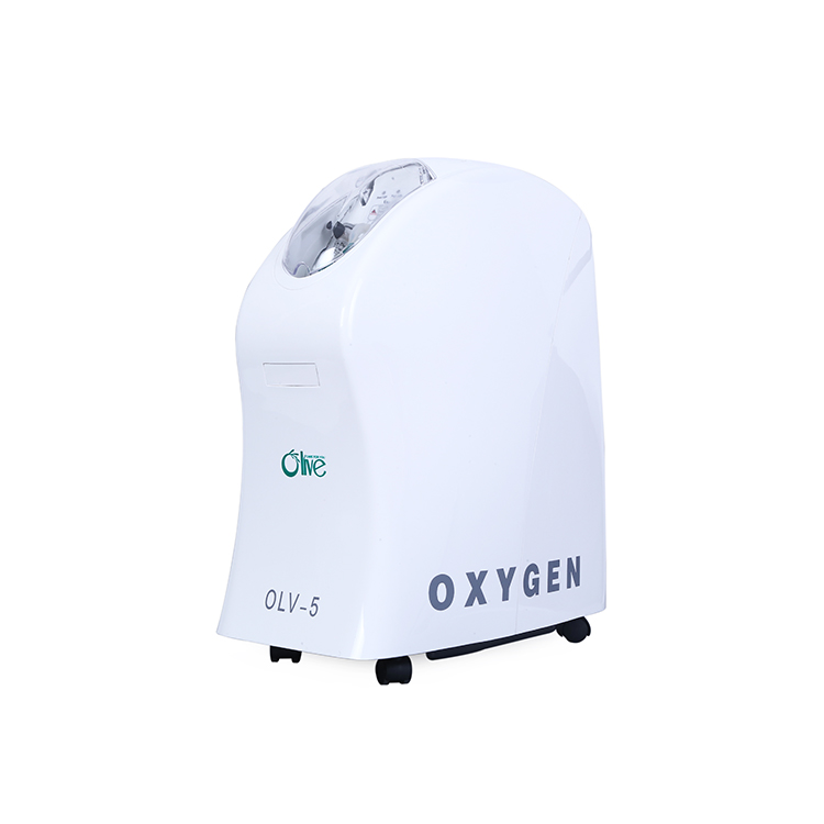 Battery Stationary Oxygen Concentrator 90W For Treating Special Patients