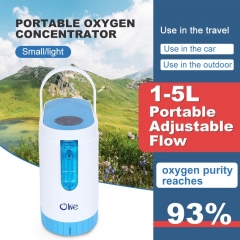 Portable Oxygen Concentrator With Battery For Health Care