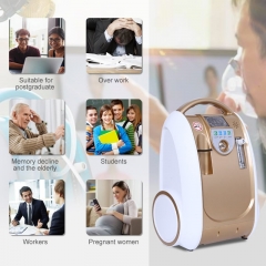 Medical Portable O2 Concentrators Continuous Flow , Golden Yellow Oxygen Concentrator Price