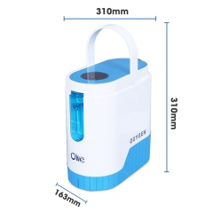 Export USA Oxygen Concentrator Medical Equipment Portable Large Flow Oxygen Concentrator