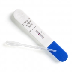 Wholesale 1 Test SARS-CoV-2 Saliva Antigen Test Kit Rapid Detection Kit At-Home COVID-19 Test Kit